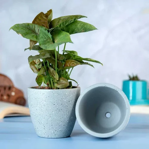 4 Inch Papier Mâché Planter