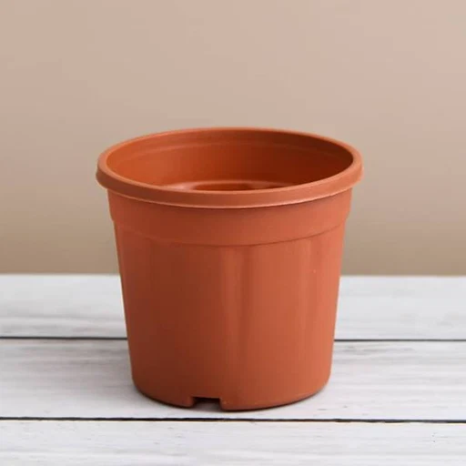 6.5 Inch Terracotta Clay Pot