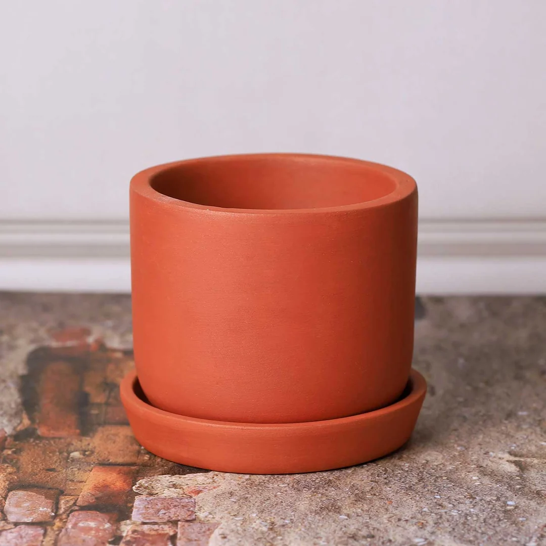 6 Inch Terracotta Clay Pot