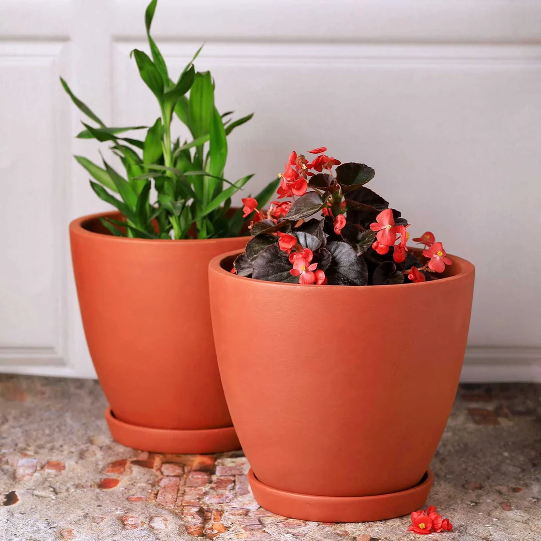 8 Inch Terracotta Clay Pot